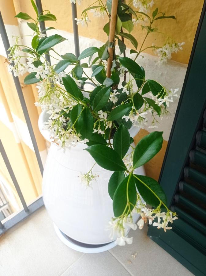 모노폴리 Casa Carlotta 빌라 외부 사진